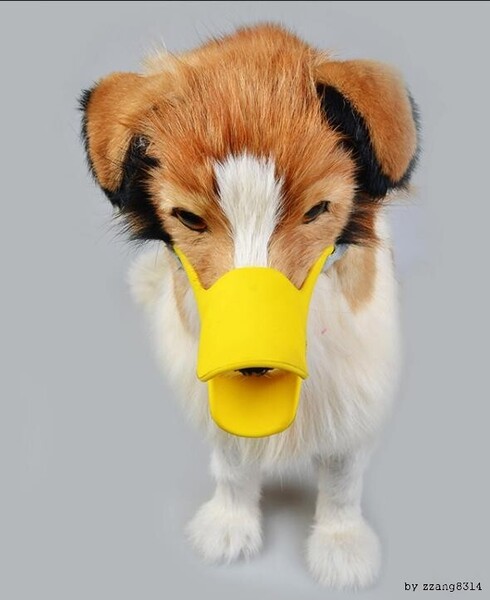 애견 오리입마개 강아지 짖음방지 훈련용품 입마개 짖음방지