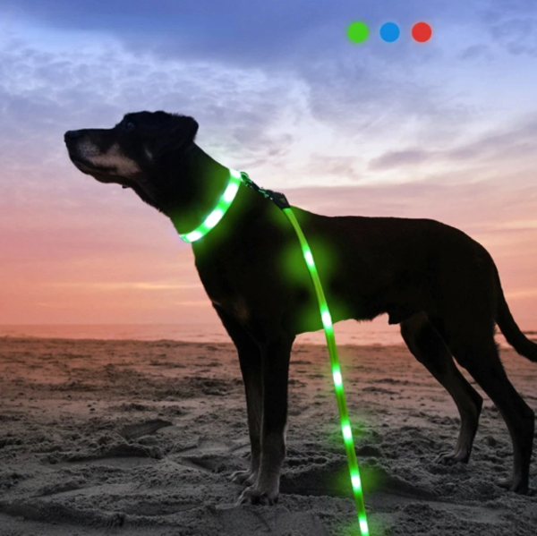 [럽펫] 야간산책 강아지 LED목줄 밤산책필수 인싸템 산책용품 빛나는목줄 LED목걸이 US