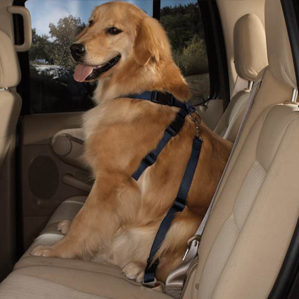 잔량덤핑 강아지 안전벨트 애완견 자동차 차량 훈련